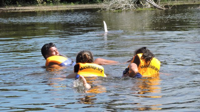 2 HOGAR DE LOS DELFINES 3D-2N 2-min